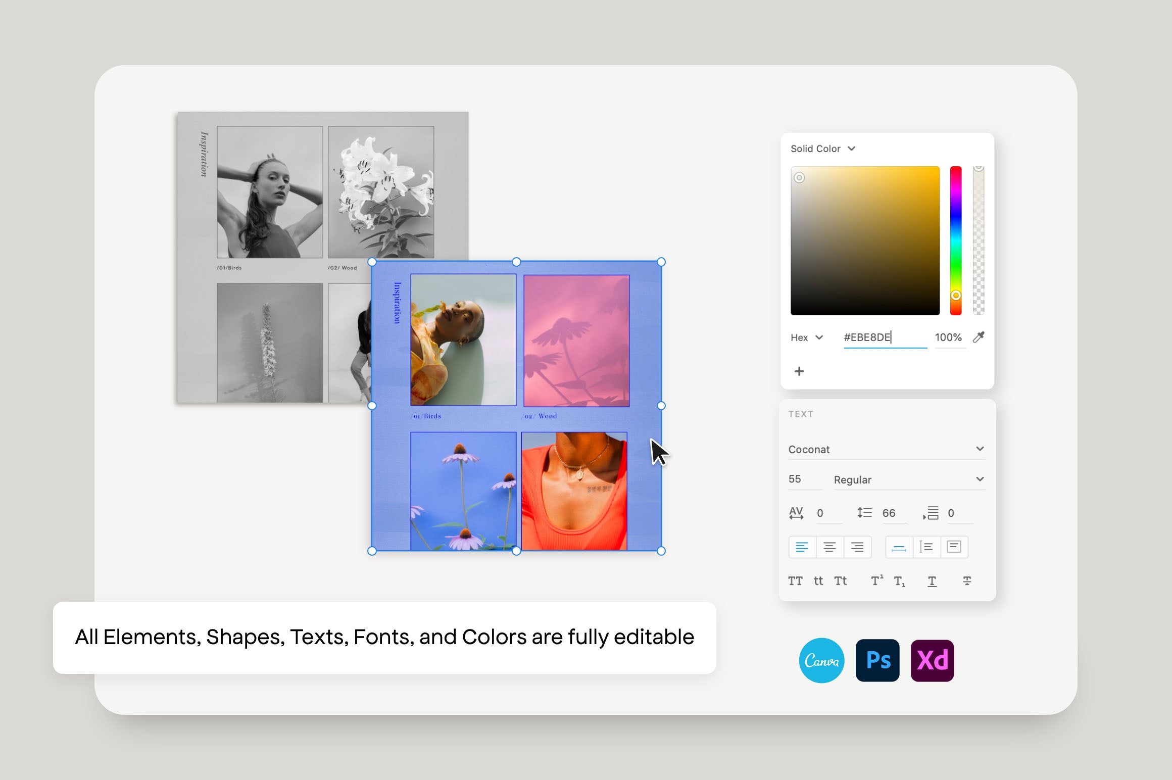 Olena - Social Kit Templates