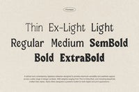 Ombre Nouveau – Retro Stylish Serif Font