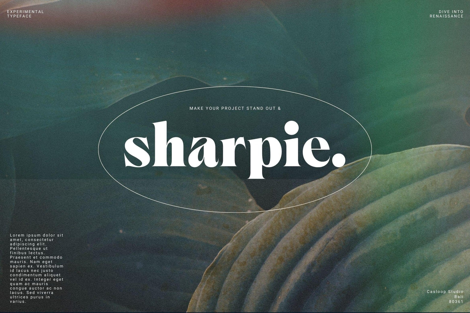 ornable-experimental-typeface-casloop-studio-7.jpg