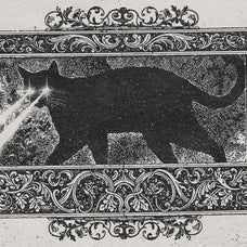 Ornamental Vectors
