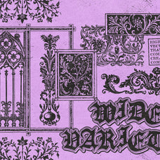 Ornamental Vectors