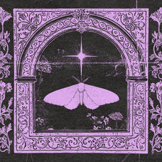 Ornamental Vectors