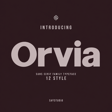 orvia-family-modern-sans-serif-font-say-studio-1.png