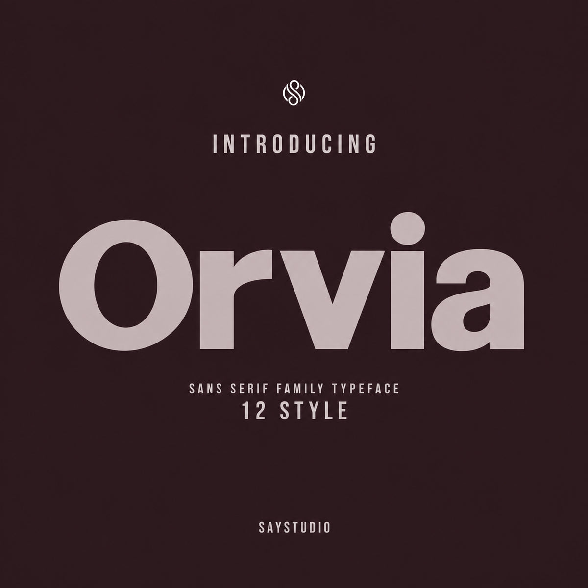 orvia-family-modern-sans-serif-font-say-studio-1.png