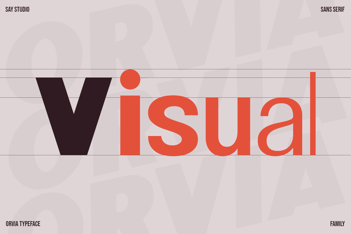 orvia-family-modern-sans-serif-font-say-studio-2.png