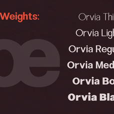 orvia-family-modern-sans-serif-font-say-studio-3.png