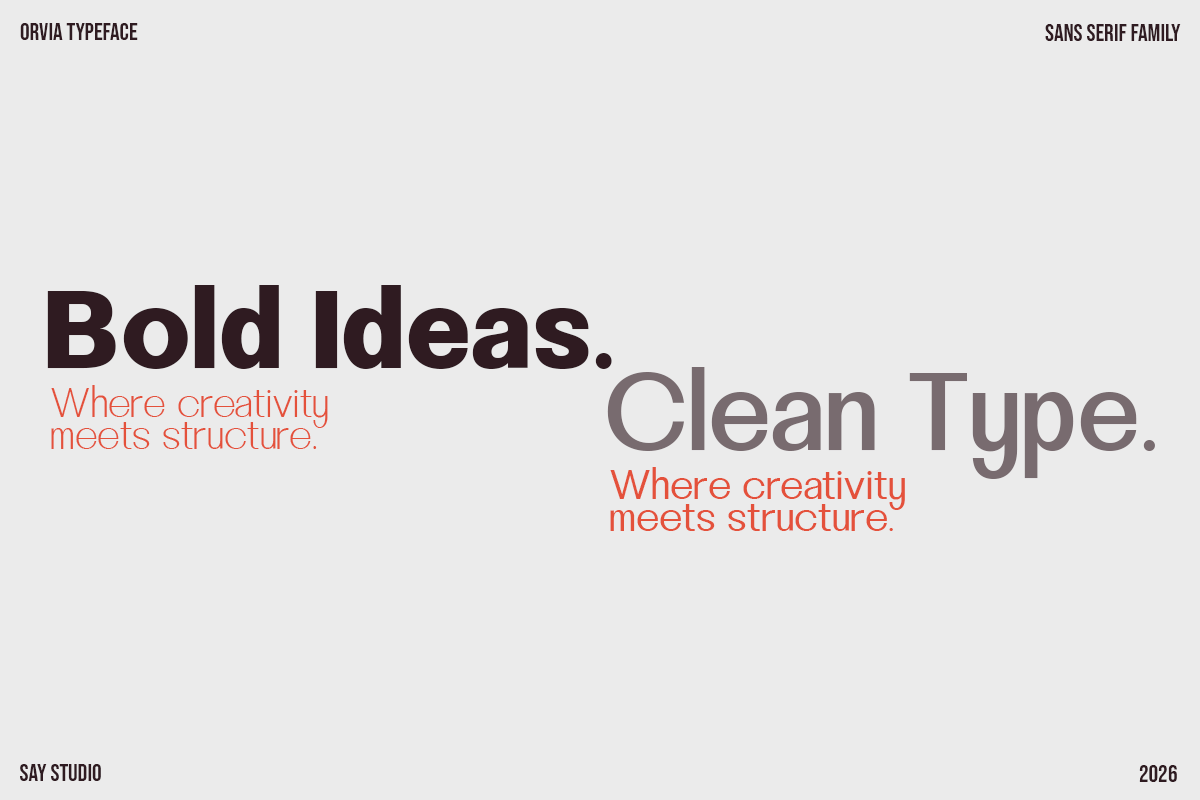 orvia-family-modern-sans-serif-font-say-studio-5.png