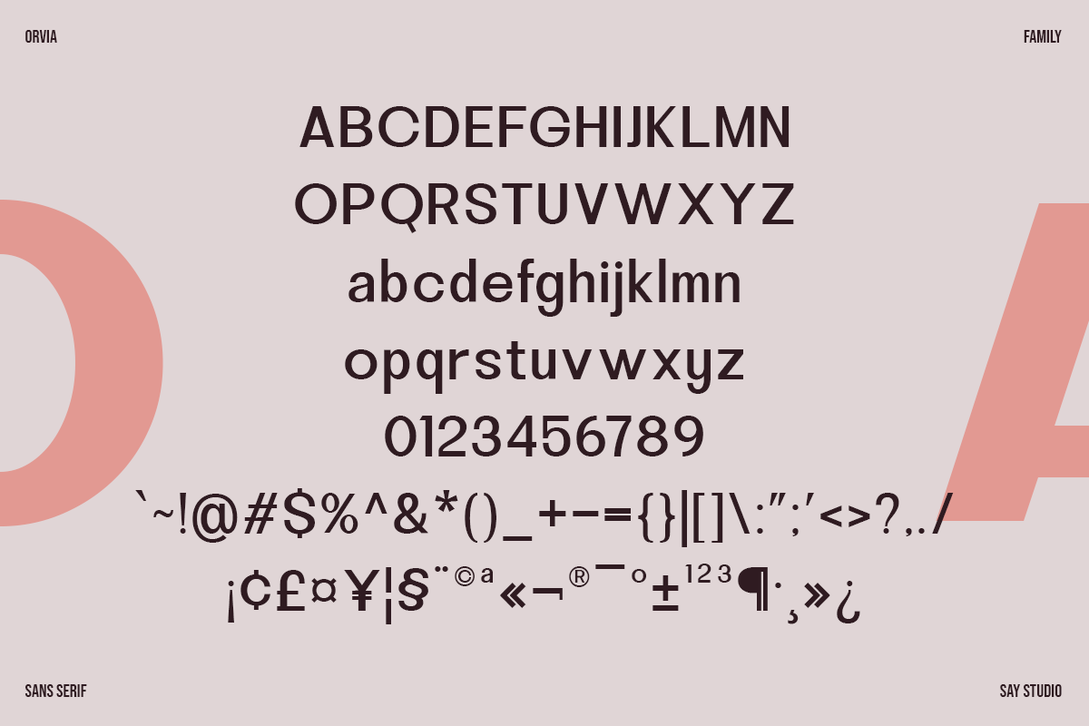 orvia-family-modern-sans-serif-font-say-studio-8.png