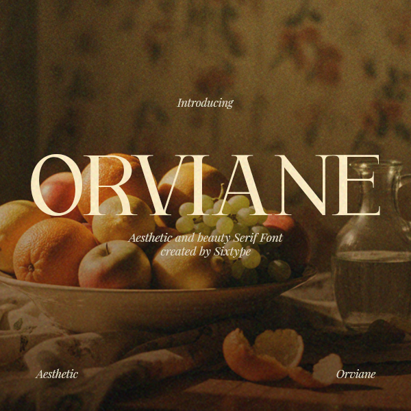 orviane-serif-font-sixtysix-labs-studio-1.png