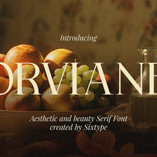 orviane-serif-font-sixtysix-labs-studio-2.jpg