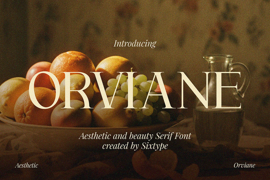 orviane-serif-font-sixtysix-labs-studio-2.jpg
