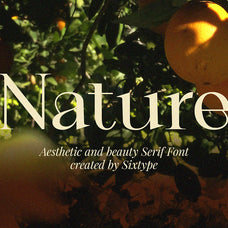 orviane-serif-font-sixtysix-labs-studio-3.jpg