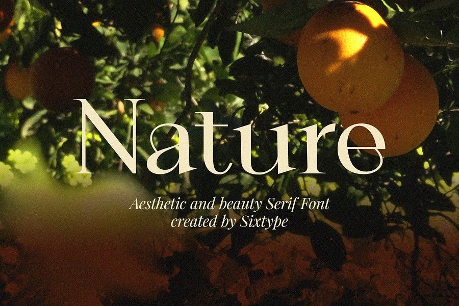 orviane-serif-font-sixtysix-labs-studio-3.jpg