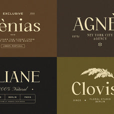 orviane-serif-font-sixtysix-labs-studio-8.jpg