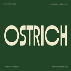 ostrich-condensed-geometric-display-font-roomspace-creative-lab-1.png