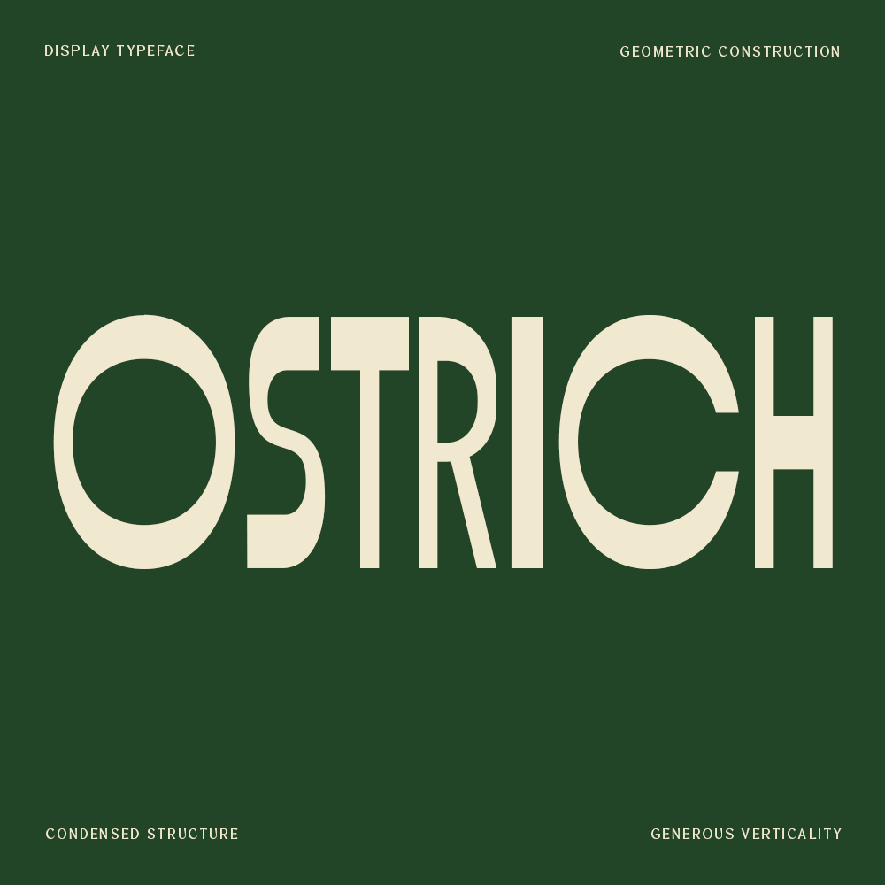 ostrich-condensed-geometric-display-font-roomspace-creative-lab-1.png