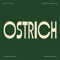 Ostrich - Condensed Geometric Display Font