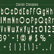 ostrich-condensed-geometric-display-font-roomspace-creative-lab-9.png
