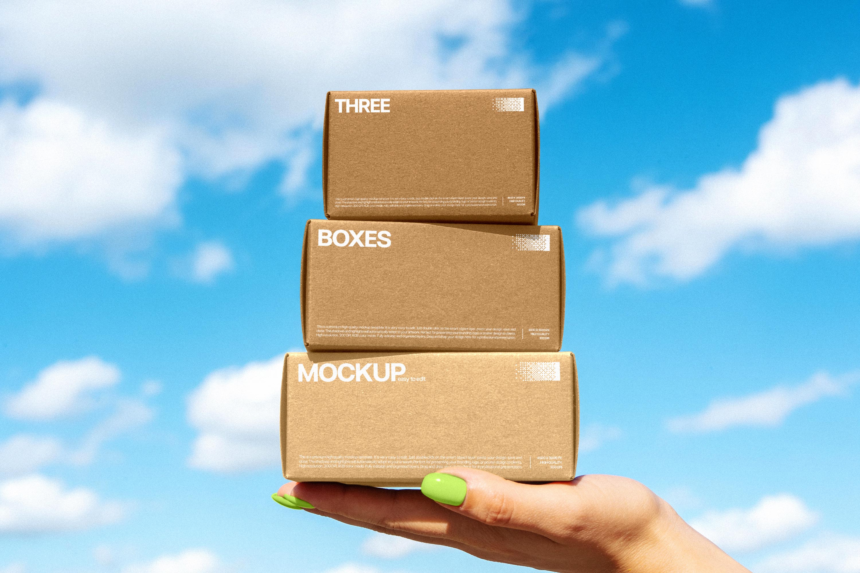 outdoor-stacked-box-mockup-pixelbuddha-4.jpg