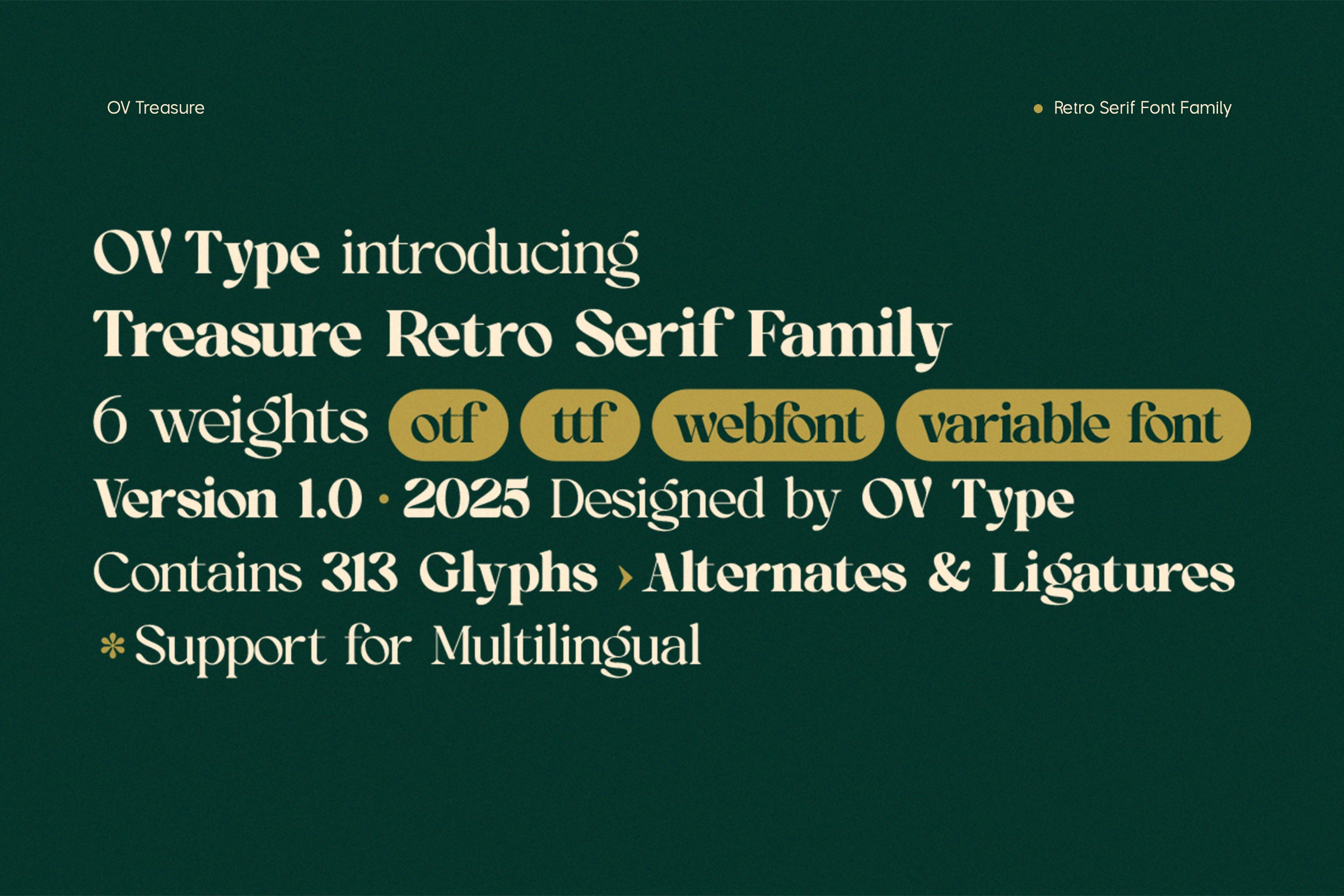 ov-treasure-retro-serif-font-family-ov-type-2.jpg