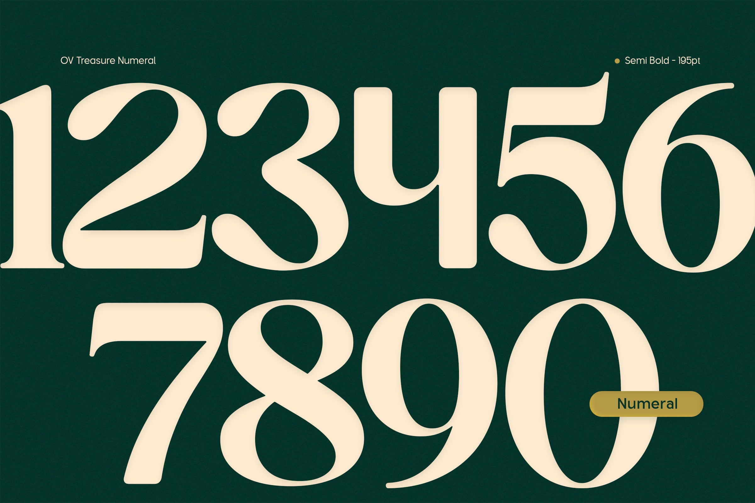 ov-treasure-retro-serif-font-family-ov-type-3.jpg