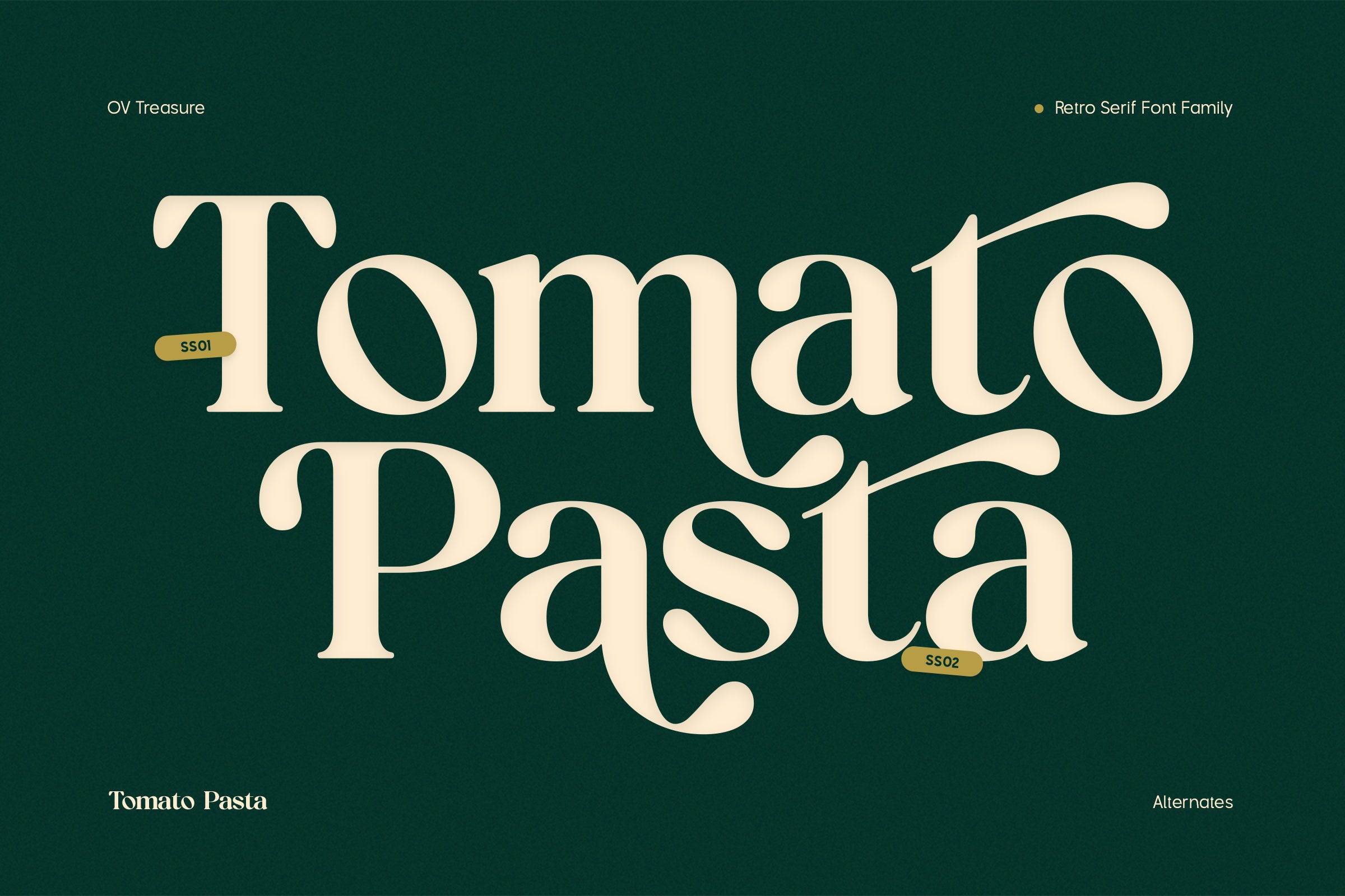 ov-treasure-retro-serif-font-family-ov-type-4.jpg