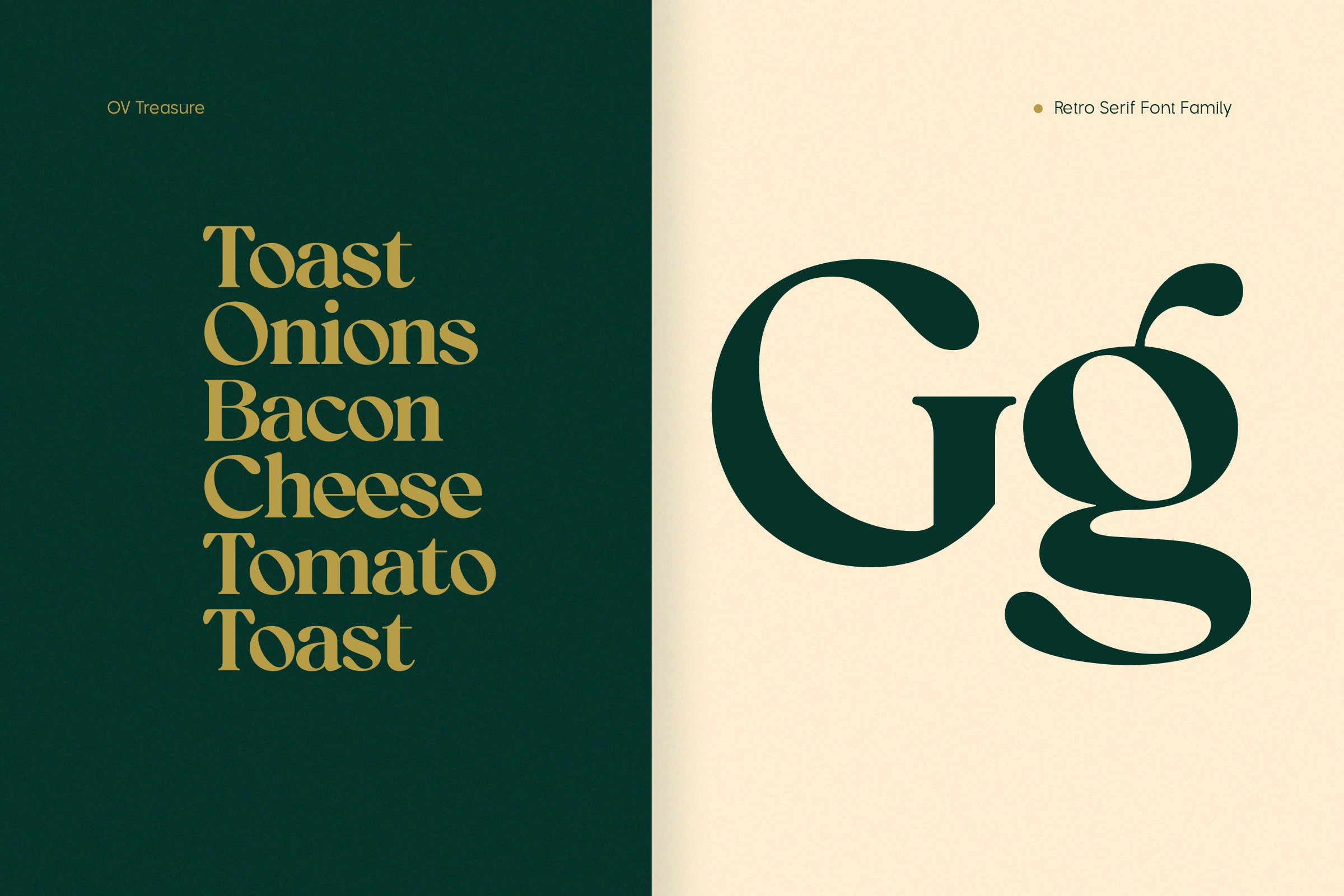 ov-treasure-retro-serif-font-family-ov-type-7.jpg