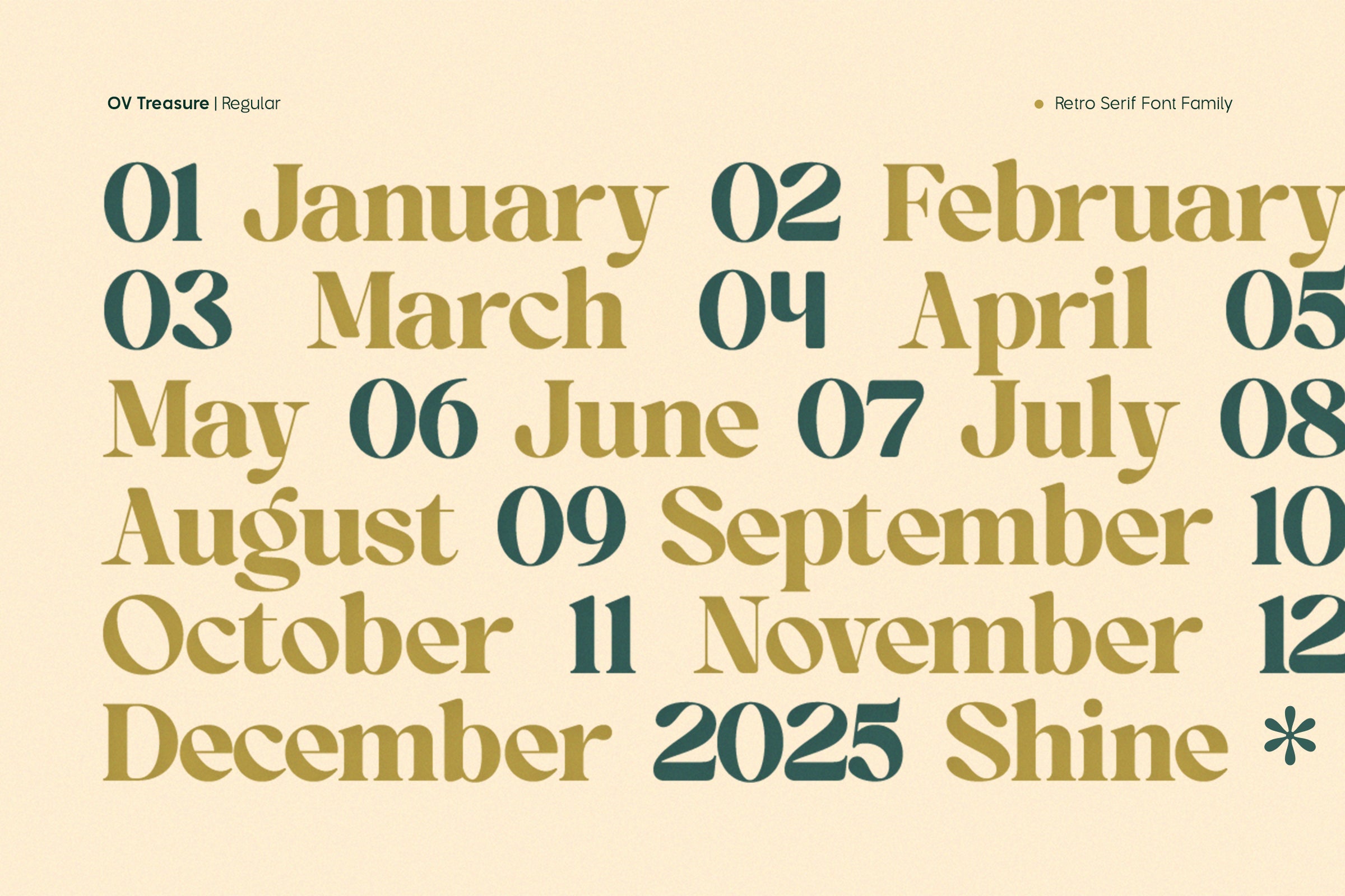 ov-treasure-retro-serif-font-family-ov-type-9.jpg