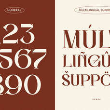 oxelar-elegant-editorial-serif-font-fontliner-9.png