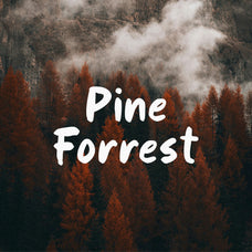 oxford-vibes-playful-handwritten-font-heinzel-std-2.jpg