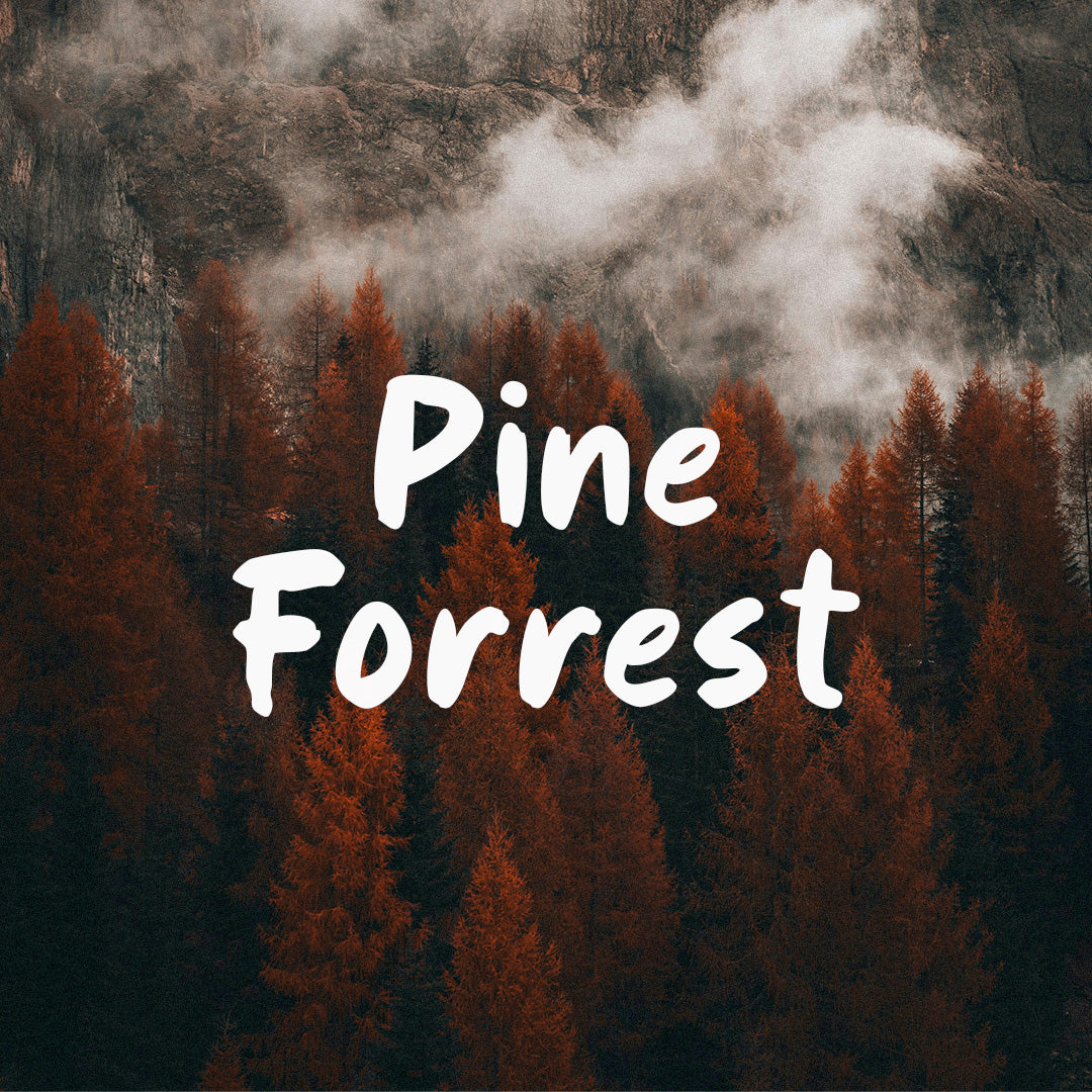 oxford-vibes-playful-handwritten-font-heinzel-std-2.jpg
