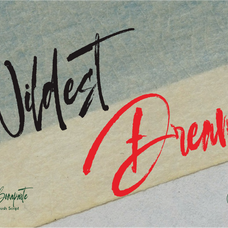pablo-bonaparte-modern-brush-script-tyedge-studio-2.png