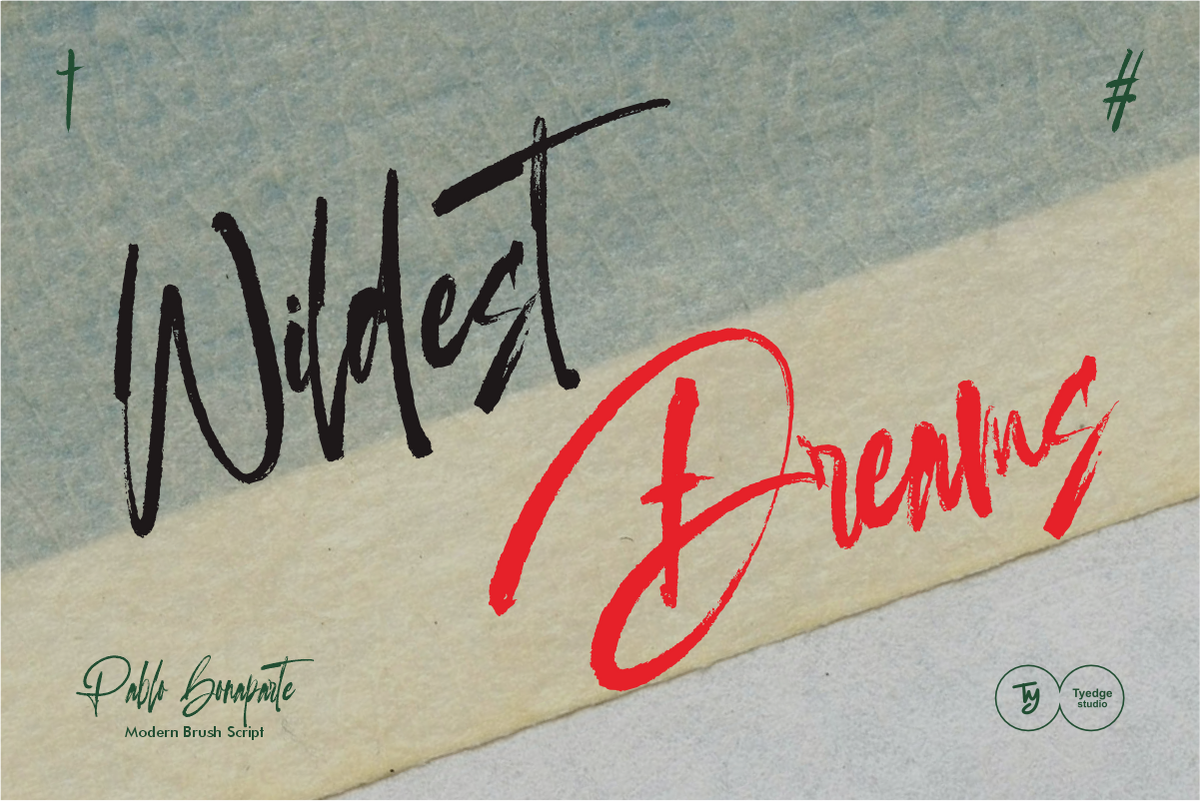 pablo-bonaparte-modern-brush-script-tyedge-studio-2.png
