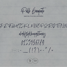 pablo-bonaparte-modern-brush-script-tyedge-studio-7.png