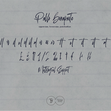 pablo-bonaparte-modern-brush-script-tyedge-studio-8.png