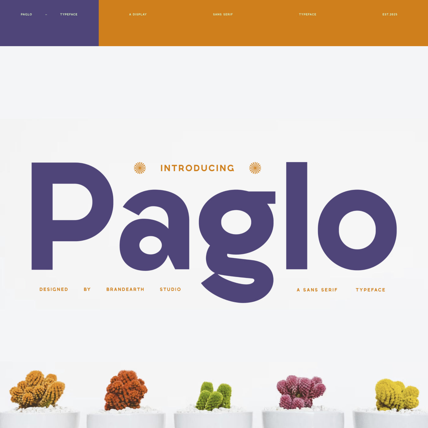 paglo-sans-serif-typeface-font-brandearth-studio-1.jpg