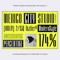 palaside-inktrap-font-craft-supply-co-2.jpg