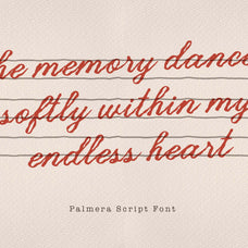 palmeria-a-textured-handwriting-font-blankids-6.jpg