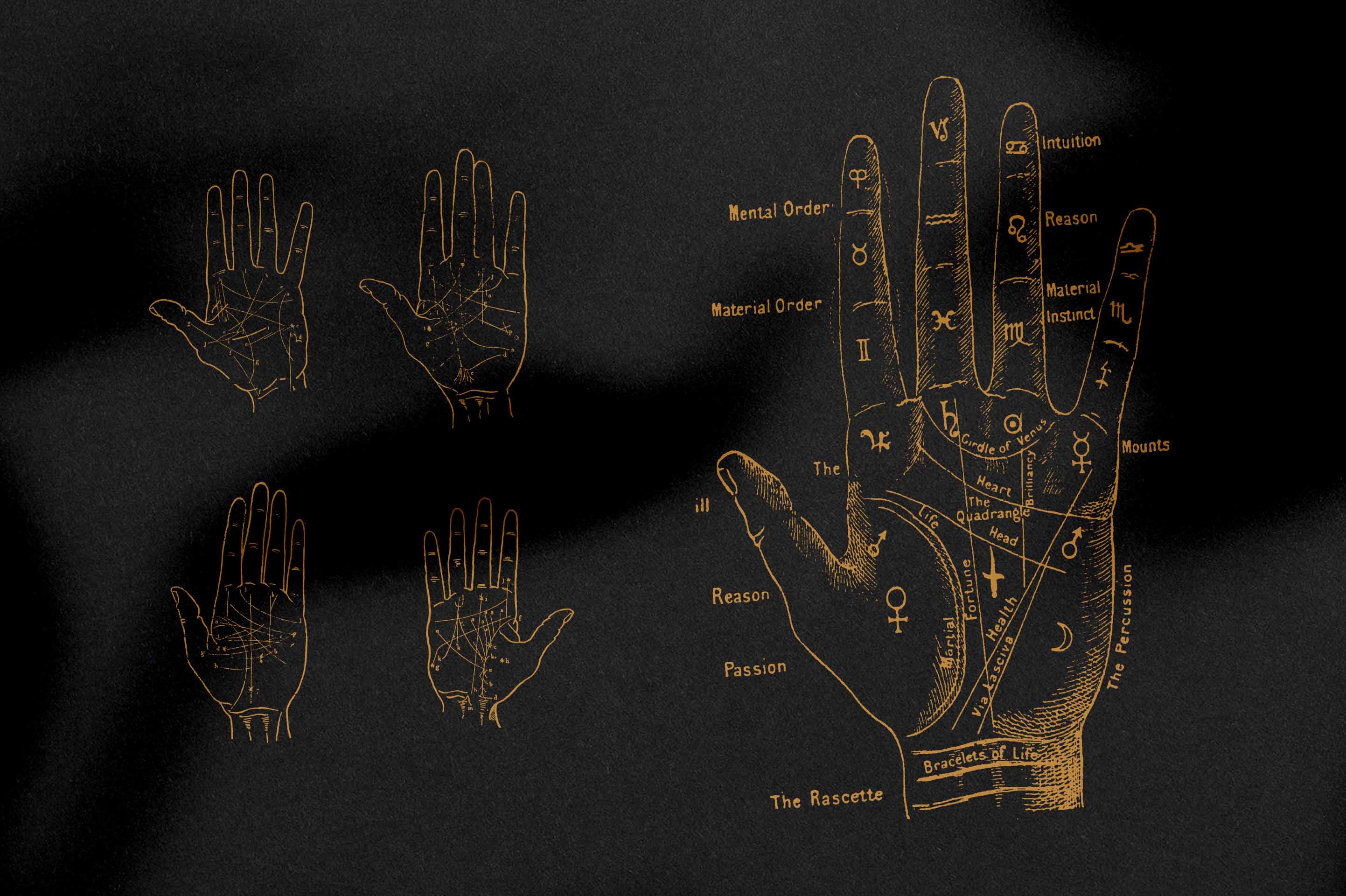 Palmistry, Zodiac & Occult