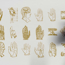 Palmistry, Zodiac & Occult