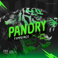 Pandry – Sans Serif Brush Font