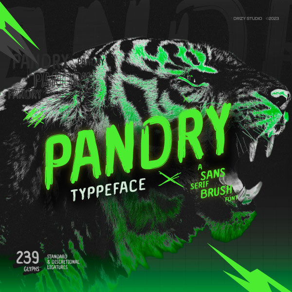 pandry-sans-serif-brush-font-drizy-font-1.jpg