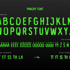 pandry-sans-serif-brush-font-drizy-font-3.jpg