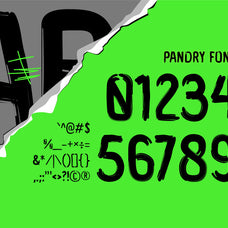 pandry-sans-serif-brush-font-drizy-font-4.jpg