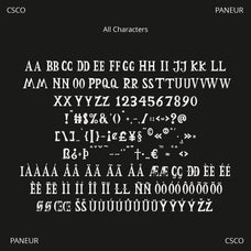 paneur-serif-typeface-craft-supply-co-8.jpg