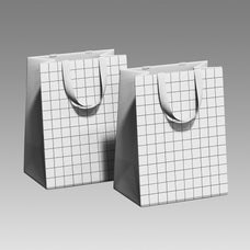 paper-bag-mockup-morrobati-2.jpg