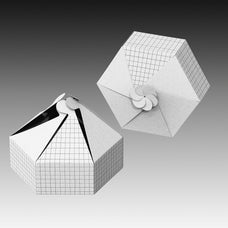 paper-food-box-mockup-morrobati-6.jpg