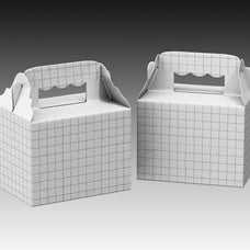 paper-food-box-mockup-morrobati-8.jpg
