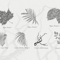 paper-shadow-leaves-procreate-kit-digi-life-5.png