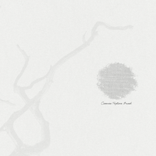 paper-shadow-leaves-procreate-kit-digi-life-6.png